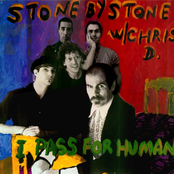 I Pass For Human by Stone By Stone