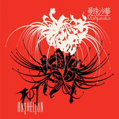 曼珠沙華 (Mañjusaka)