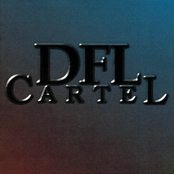 DFL Cartel
