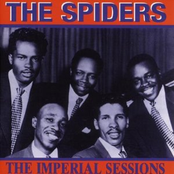 Why Do I Love You by The Spiders