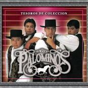 La Llama by Los Palominos