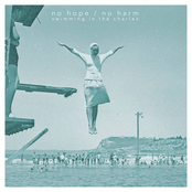 Swimming in the Charles