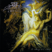 Le Mirage de L'Idéal