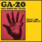 GA-20: Try It...You Might Like It: GA-20 Does Hound Dog Taylor
