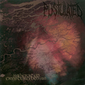 Cerebral Anaemia by Pustulated