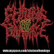 chains of bondage