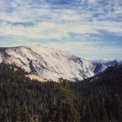 Silence Of The North