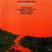 Bushman Song by John Stubblefield