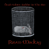 Dead White Rabbit In The Bin