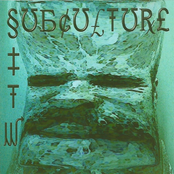 Subculture