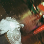 The Journalist - Single