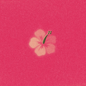 The Polar Boys: Now That's What I Call Polar Boys