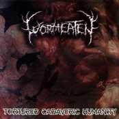 Intestinal Lacerations by Wormeaten