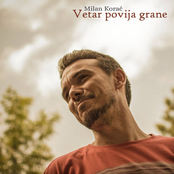 Vetar povija grane