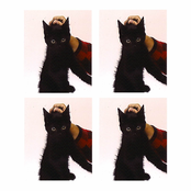 Julian (Version de Luxe)