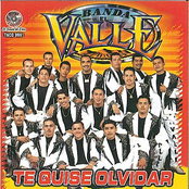 Te Quise Olvidar