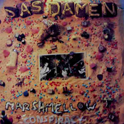 Marshmellow Conspiracy