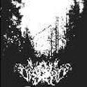 Dead Forest Rehearsal