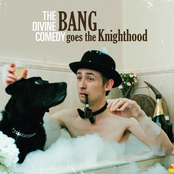 Bang Goes The Knighthood by The Divine Comedy