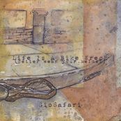 Life is a Bike Wreck (Better Wear Your Helmet)