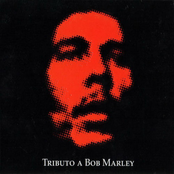 Tributo A Bob Marley