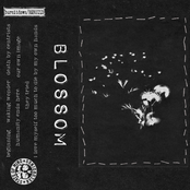 Blossom: Blossom