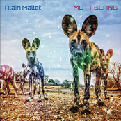 Alain Mallet: Mutt Slang