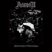 Black Wind of the Plague