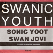 swanic youth