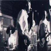 Discography (Unofficial)