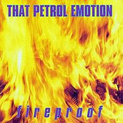 Too Late Blues by That Petrol Emotion