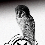 Behold the Chalice of Shaitan