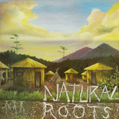 Natural Roots Vinyl