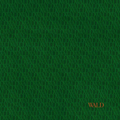 WALD (Long Versions)