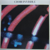 Fixation by Choir Invisible