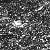 Hypnagogic polish music for teenage mutants