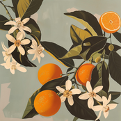 orange blossom