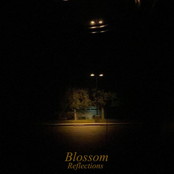Blossom: Reflections