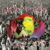 Copper Is Restless ('til It Turns To Gold) by Dead Meadow
