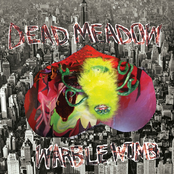 Yesterday's Blowin' Back by Dead Meadow