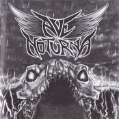 Caminho Metálico [MC]