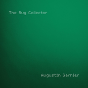 The Bug Collector