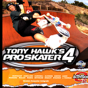 Haiku D'Etat: Tony Hawk's Pro Skater 4