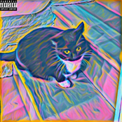 cattywampus - lil doggystylez