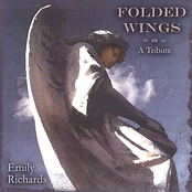 Folded Wings by Emily Richards