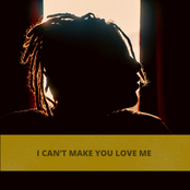 I Can't Make You Love Me
