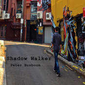 Shadow Walker