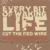 Every Bit Of Waking Life by Cut The Red Wire