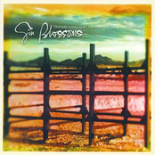 Just South Of Nowhere by Gin Blossoms