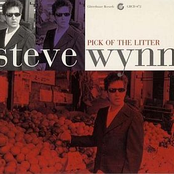 Invisible by Steve Wynn